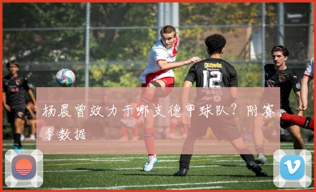 杨晨曾效力于哪支德甲球队？附赛季数据