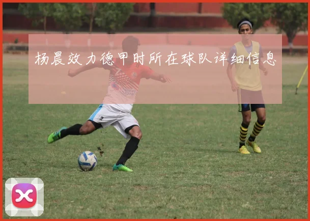 杨晨效力德甲时所在球队详细信息