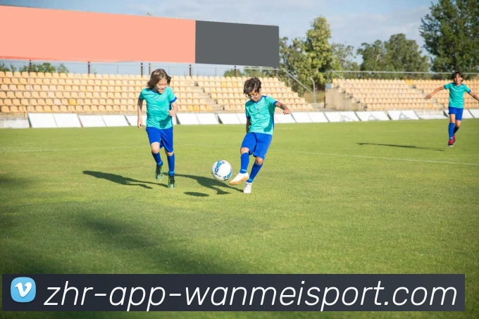 完美体育平台生态图