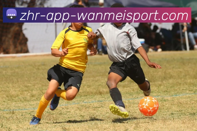 完美体育全站App